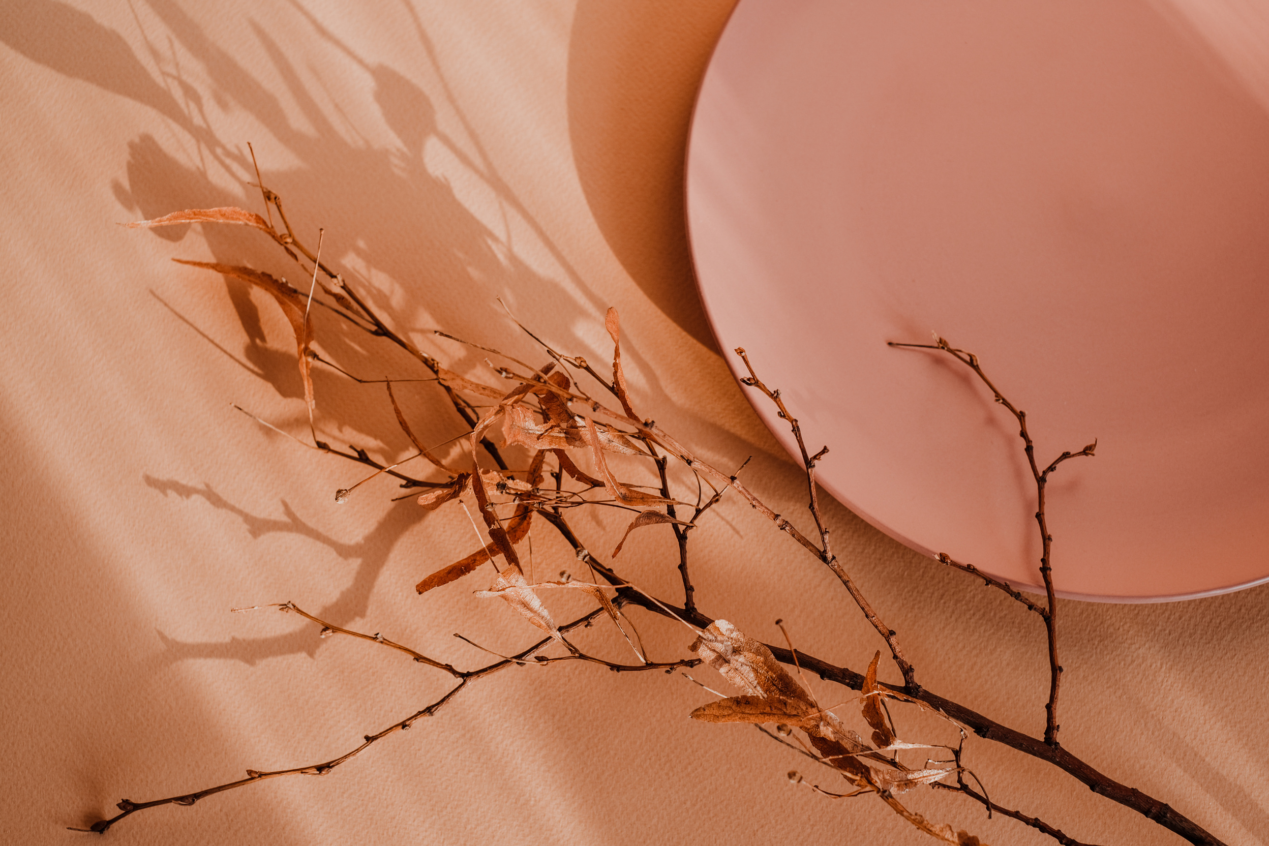 Ceramic Plate and Dried Branch