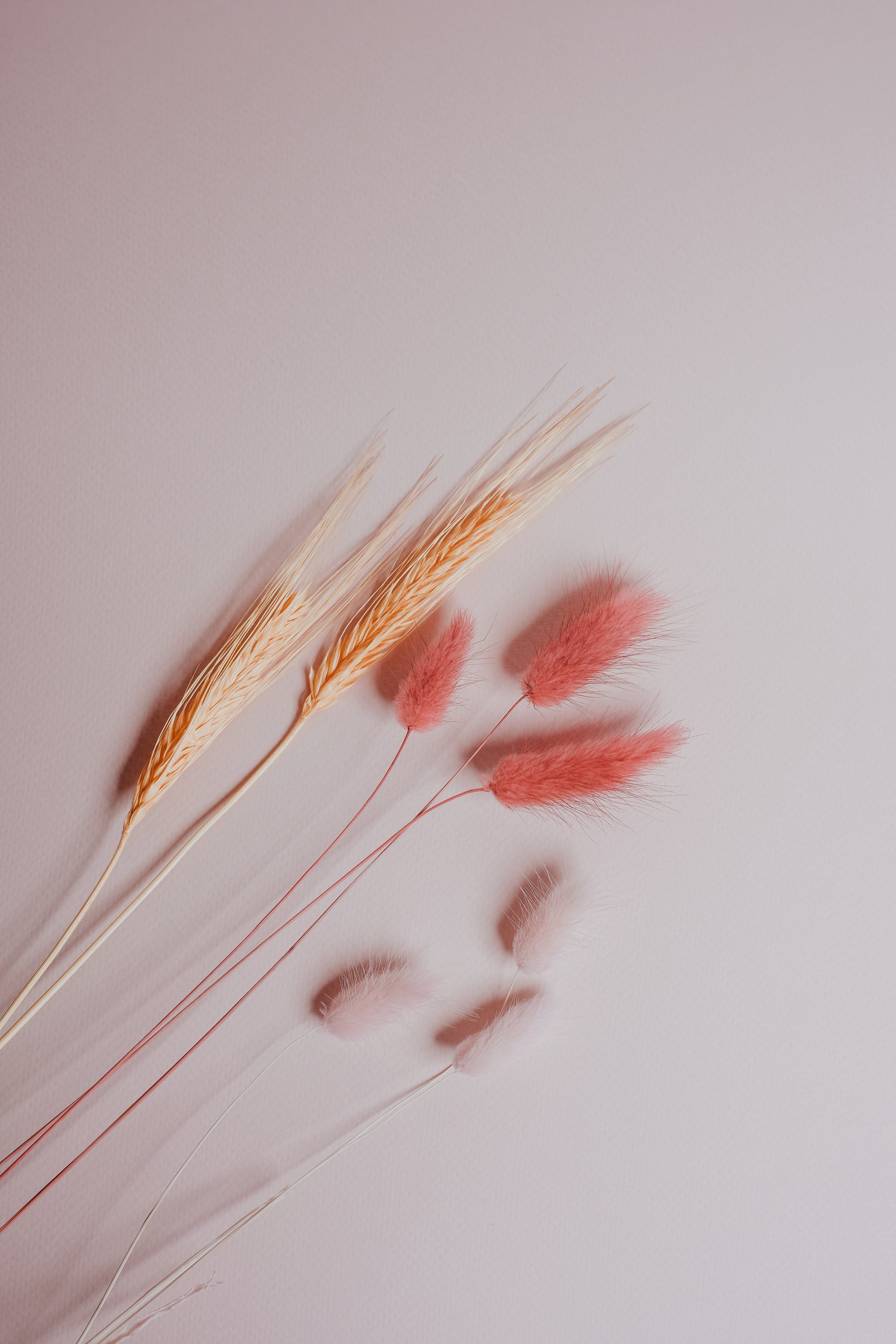 Spikelets and Decorative Bunny Tails